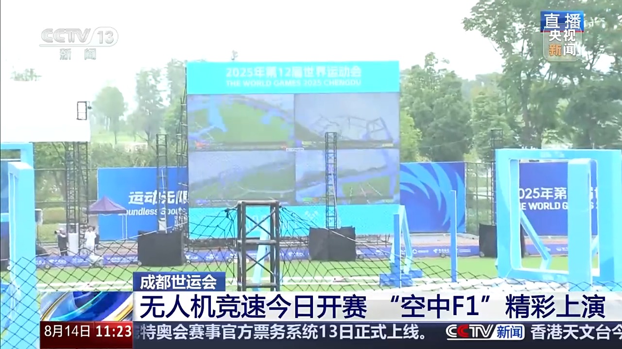 型为大熊猫, amp, img