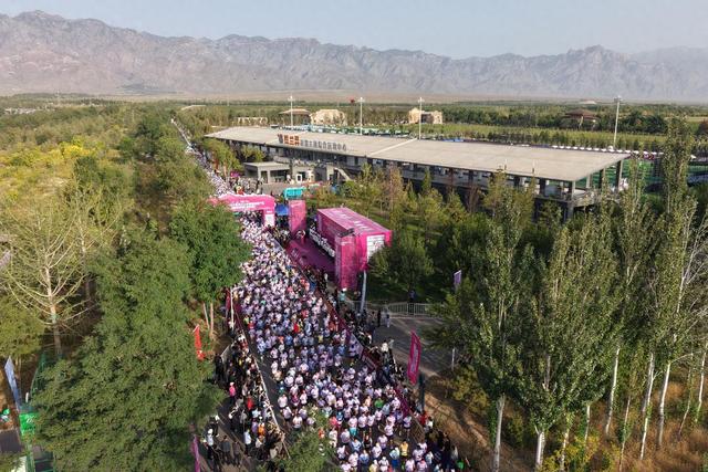 醉美, 赵朝云以, 六特