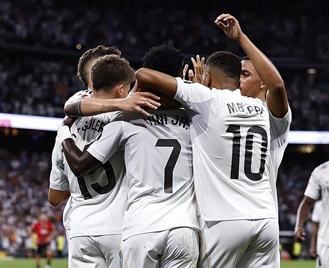 的皇家社会 的皇家社会